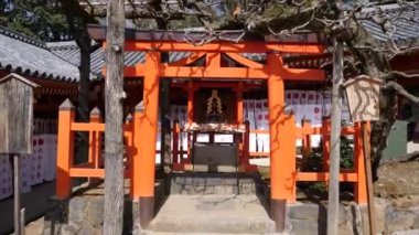 Japon Tori Kapısı 'nın altındaki küçük turuncu bir tapınağa ağır çekimde giriyoruz.