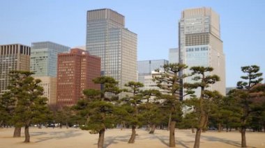 Tokyo gökdelenli İmparatorluk Sarayı Kokyo Gaien Ulusal Bahçesi, Japonya. 