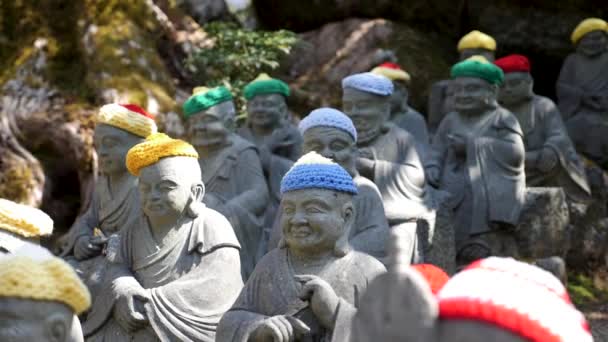 Un montón de pequeñas estatuas de buda Daisho-in en un jardín de un templo, Japón — Vídeo de stock