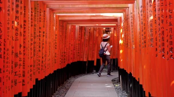 Fushimi Inari lleno de puertas torii en cámara lenta Kyoto, Japón. — Vídeos de Stock