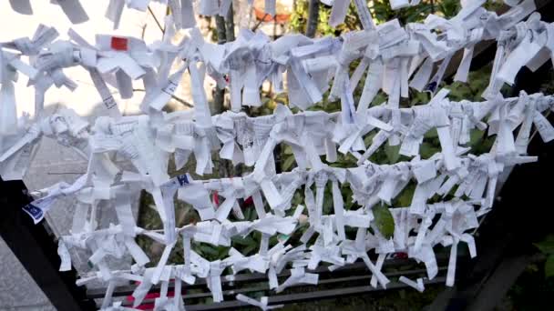 Omikuji - papiers de mauvaise fortune dans un temple bouddhiste ou sanctuaire shintoïste, Japon. — Video