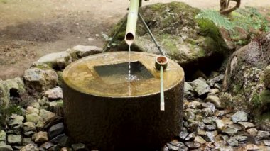 Geleneksel Japon bahçesinde akan bambu suyu, Kyoto.