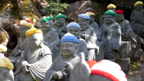 Un montón de pequeñas estatuas de buda Daisho-in en un jardín de un templo, Japón — Vídeo de stock