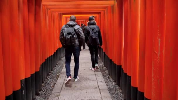 Fushimi Inari, Japonya 'nın ağır çekim Kyoto' sunda torii kapılarıyla dolu.. — Stok video