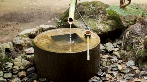 Geleneksel Japon bahçesinde akan bambu suyu, Kyoto. — Stok video