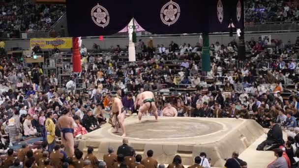 Sumo tournament in Japan. Sumo wrestlers fight. Sumo match. — Stock Video