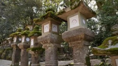 Japonya, Nara 'daki Kasuga-taisha tapınağında taş fenerler.. 