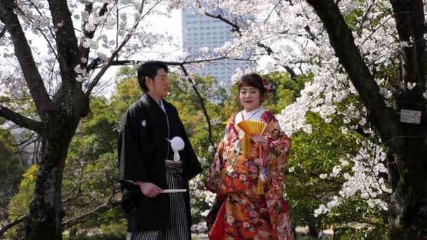 Japanska par i kimono. Cherry Blossom Park bredvid Hiroshima slott. — Stockvideo