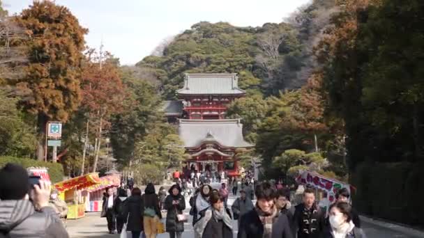 Kamakura, Japón - 23 de abril de 22: Kamakura Hachimangu Shrine en Kanagawa, Japón — Vídeos de Stock