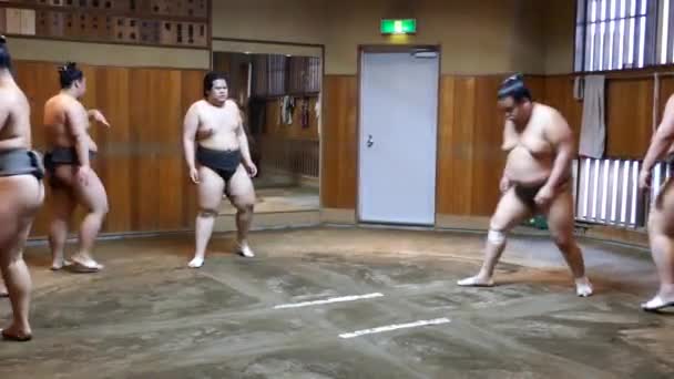 Tokió, Japán - április 23, 22: szumó birkózó tréning. Sumo gyakorlás. — Stock videók