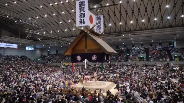 Sumo toernooi in Japan. Sumo worstelaars vechten. Sumo wedstrijd. — Stockvideo