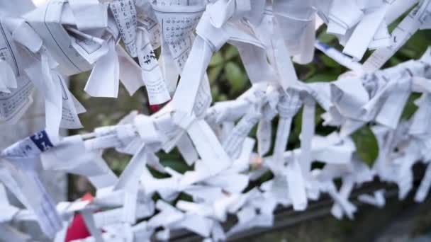 Omikuji, pechowe papiery na Buddyjskiej świątyni lub przybytku Sinto, Japonia. — Wideo stockowe