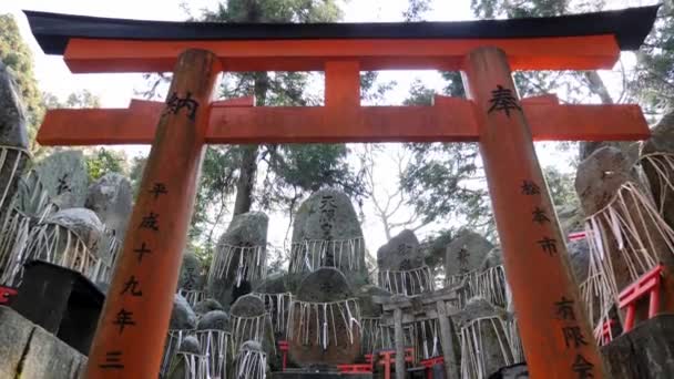 Schintoistischer Schrein in einem Wald in der Nähe des Fushimi Inari Komplexes. Mystischer japanischer Ort — Stockvideo
