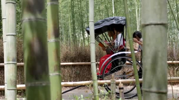 Turistler Kyoto, Japonya 'daki Arashiyama bambu ormanında fayton gezintisi yapıyorlar. — Stok video