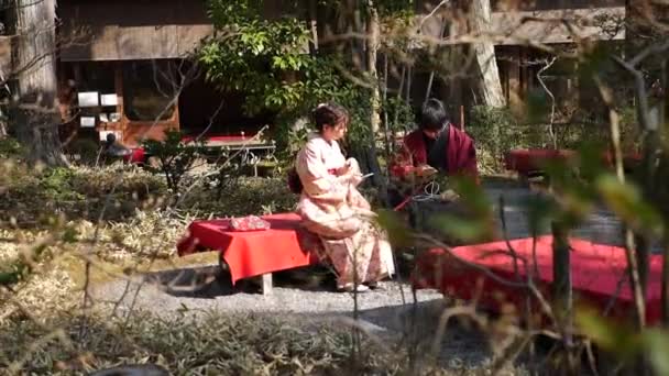 Japanska unga par njuter av att dricka ett traditionellt te. Te ceremoni, Kyoto. — Stockvideo