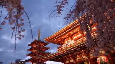 Japon Pagoda ve Hozomon kapısı Tokyo 'daki Senso-ji tapınağında gün batımından sonra..