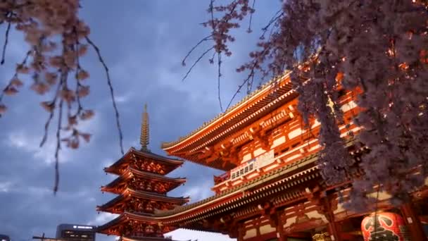 Japanse Pagoda en hozomon poort bij senso-ji heiligdom in Tokio na zonsondergang. — Stockvideo