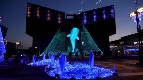Osaka akvarium på natten — Stockvideo