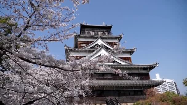 Castello di Hiroshima durante la stagione dei fiori di ciliegio. Piena fioritura con un tempo soleggiato. — Video Stock