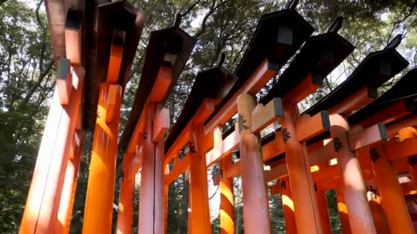 Fushimi Inari lleno de puertas torii en cámara lenta Kyoto, Japón. — Vídeos de Stock