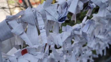 Omikuji, bir Budist tapınağında ya da Shinto Tapınağı, Japonya 'da kötü talih kağıtları..