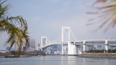 Odaiba 'dan gelen palmiye ağaçları arasından gökkuşağı köprüsü manzarası.