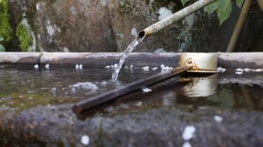 Tokyo, Japonya 'daki eski bir tapınakta ayin istasyonu..