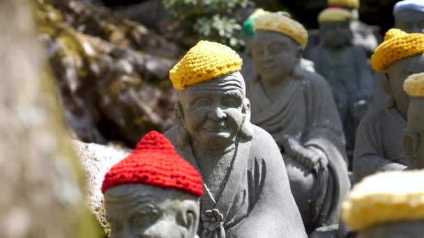 Un montón de pequeñas estatuas de buda Daisho-in en un jardín de un templo, Japón — Vídeo de stock