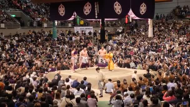 Sumo turnering i Japan. Sumo brottare slåss. Sumo match. — Stockvideo