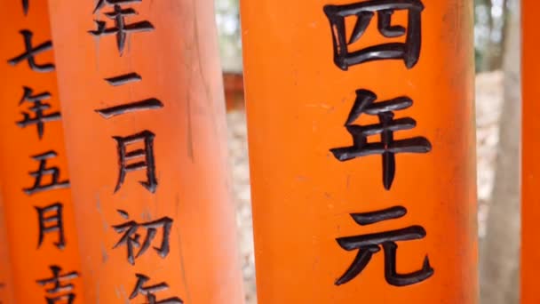 Részletes Fushimi Inari tele torii kapuk lassított mozgás Kiotó, Japán. — Stock videók