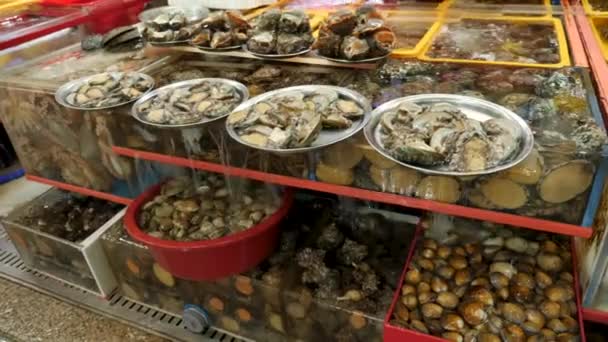 Jagalchi Fish Market bez turysty. Sprzedaję muszelki. Pusan, Korea Południowa. — Wideo stockowe