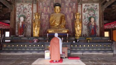 Gyeongju 'daki Bulguksa tapınağındaki dua eden Budist keşiş. Buda 'nın altın heykeli.