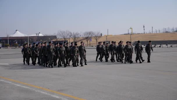 Большая группа солдат в демилитаризованной зоне или DMZ — стоковое видео