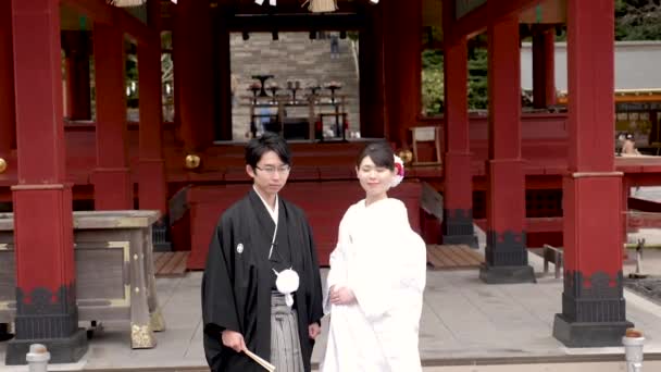 Weeding in a shinto shrine, Japan. Typical japanese weeding. — Video