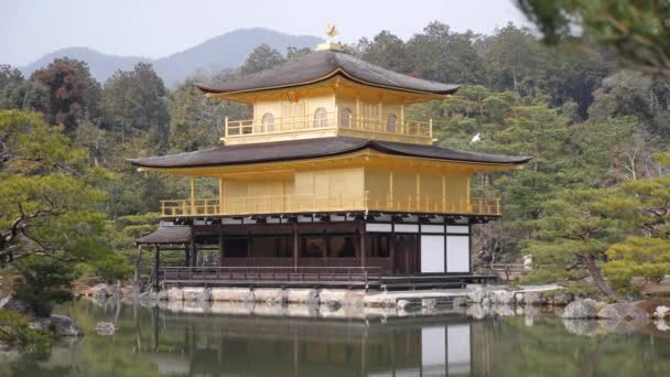 Reflejo espejo estanque del Pabellón de Oro del templo budista zen Kinkaku-ji. — Vídeos de Stock