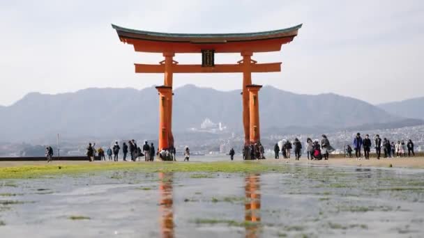 Mundo famoso portão Torii flutuante na ilha de Miyajima. Santuário de Xintoísmo de Itsukushima. — Vídeo de Stock