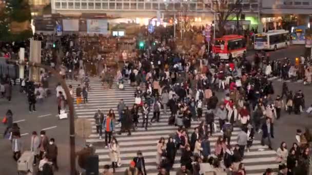 Pejalan kaki berjalan di sibuk dan terkenal Shibuya Crossing di Tokyo. — Stok Video