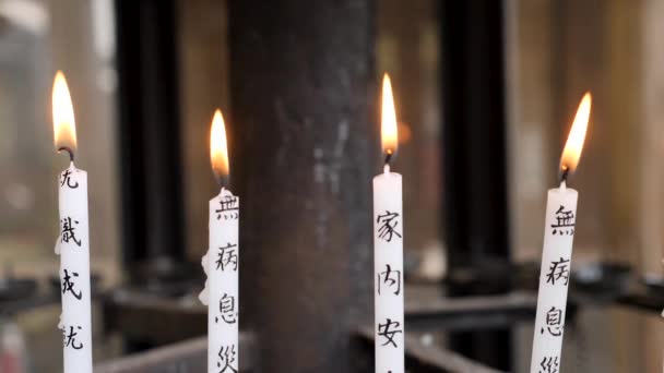 Rolls of candles lid by prayers and tourists in a Japanese shrine — Wideo stockowe