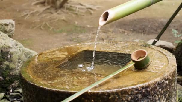 Geleneksel Japon bahçesinde akan bambu suyu, Kyoto. — Stok video