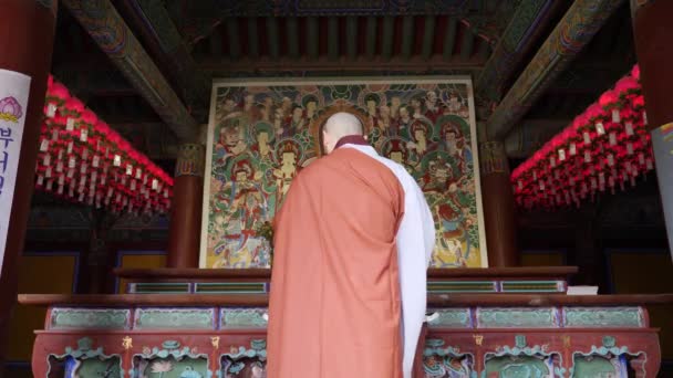 Pregare monaco buddista nel tempio Bulguksa a Gyeongju. Statua dorata di Budda. — Video Stock