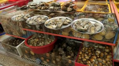 Turist olmayan Jagalchi Balık Pazarı. Deniz kabuğu satmak. Busan, Güney Kore. 