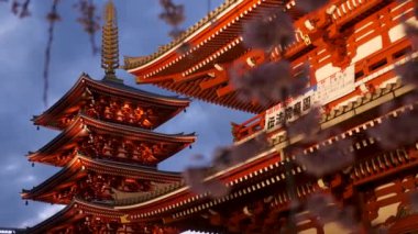 Japon Pagoda ve Hozomon kapısı Tokyo 'daki Senso-ji tapınağında gün batımından sonra..