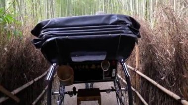 Kyoto, Japonya 'daki Arashiyama bambu ormanında bir çekçek gezisi..