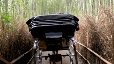 Kyoto, Japonya 'daki Arashiyama bambu ormanında bir çekçek gezisi..