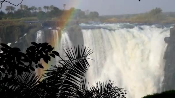 Victoria falls waterfall at sunset in Zimbabwe at the border with Zambia. — Stock Video