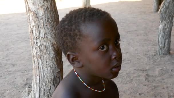 Twyfelfontein Namibia May Close Very Young Damara Kid Looking Camera — 图库视频影像