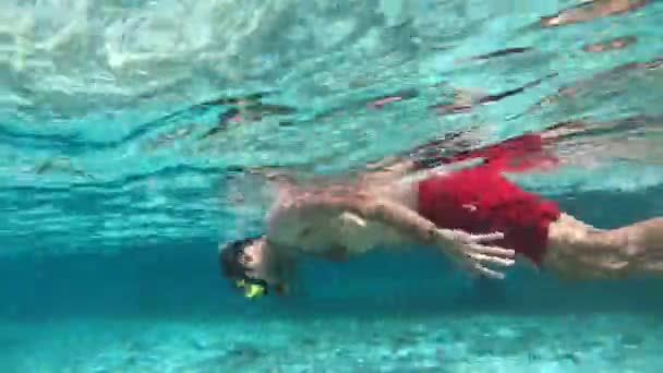 Přední Salto Pod Vodou Maledivách Kvalitní Záběry Šnorchlování Maledivách — Stock video