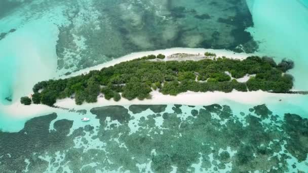 Lennokkivideo Hylätystä Saaresta Malediiveilla Kaunis Turkoosi Vesi Kaikkialla Eksoottinen Hylätty — kuvapankkivideo