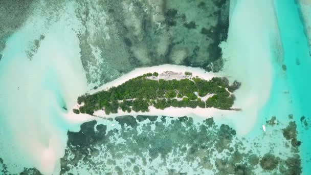 Aerial Drone Video Abandoned Island Sandbar Sandy Island Maldives Beautiful — Wideo stockowe