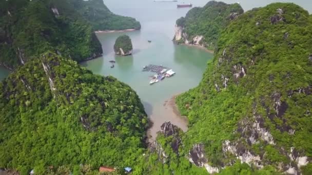 Luchtbeelden Van Mystical Long Bay Vietnam Vliegen Steile Kliffen Afdalende — Stockvideo